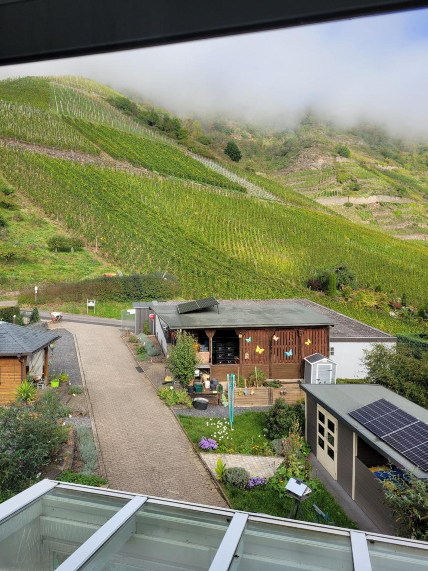 Ferienwohnung Haus Am Calmont Bremm Luaran gambar