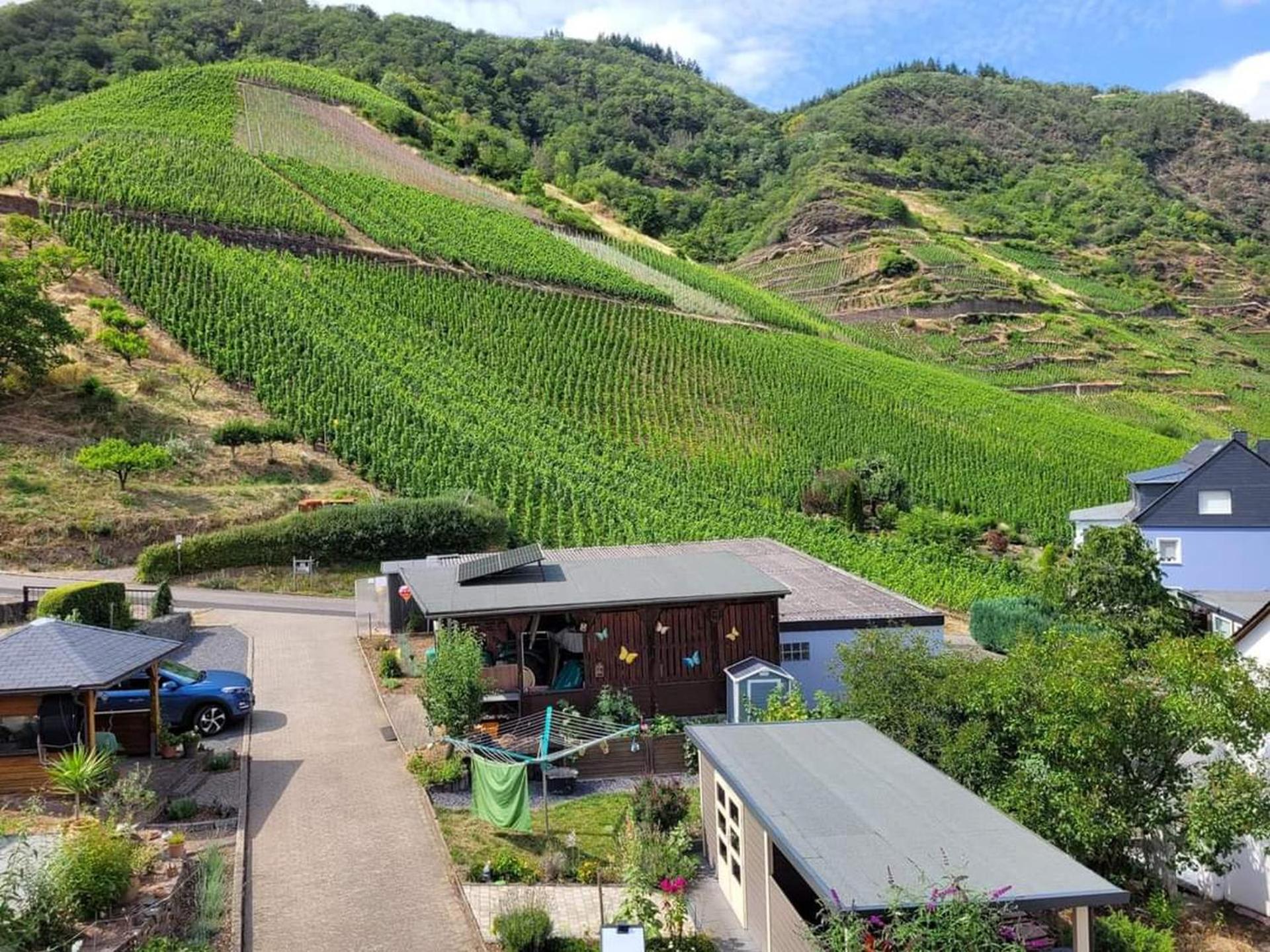 Ferienwohnung Haus Am Calmont Bremm Luaran gambar